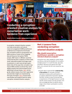 Conducting a Corruption-Oriented Situation Analysis for Conservation Work: Guidance From Experience