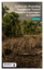 Actions for Promoting Transparent Natural Resource Governance in Colombia | An Overview