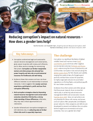 Reducing corruption’s impact on natural resources: How does a gender lens help?