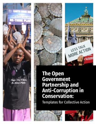 The Open Government Partnership and Anti-corruption in Conservation: Templates for Collective Action