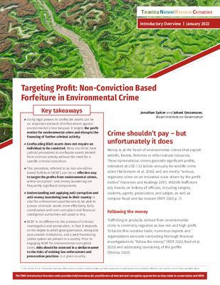 Targeting Profit: Non-Conviction Based Forfeiture in Environmental Crime