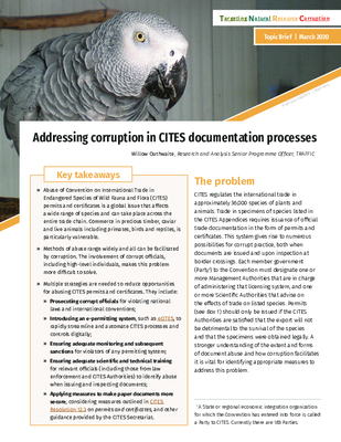 Addressing corruption in CITES documentation processes