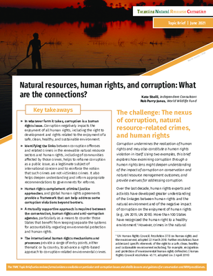 Natural Resources, Human Rights, and Corruption: What Are the Connections?