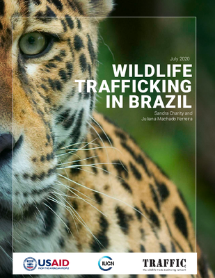 Vicious Circle: Wildlife Trafficking in Brazil