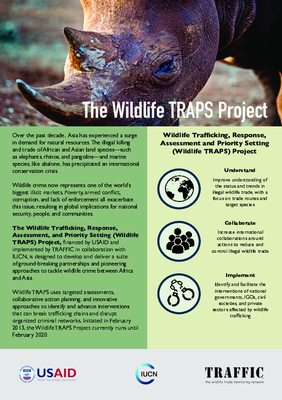The Wildlife Traps Project