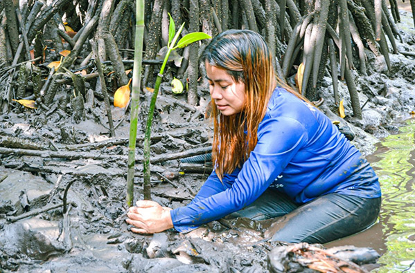 A volunteer plants mangroves in Culion. Photo: John Banadera/Culion Foundation Inc.