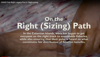 USAID Fish Right Legacy Part 6: Right-sizing