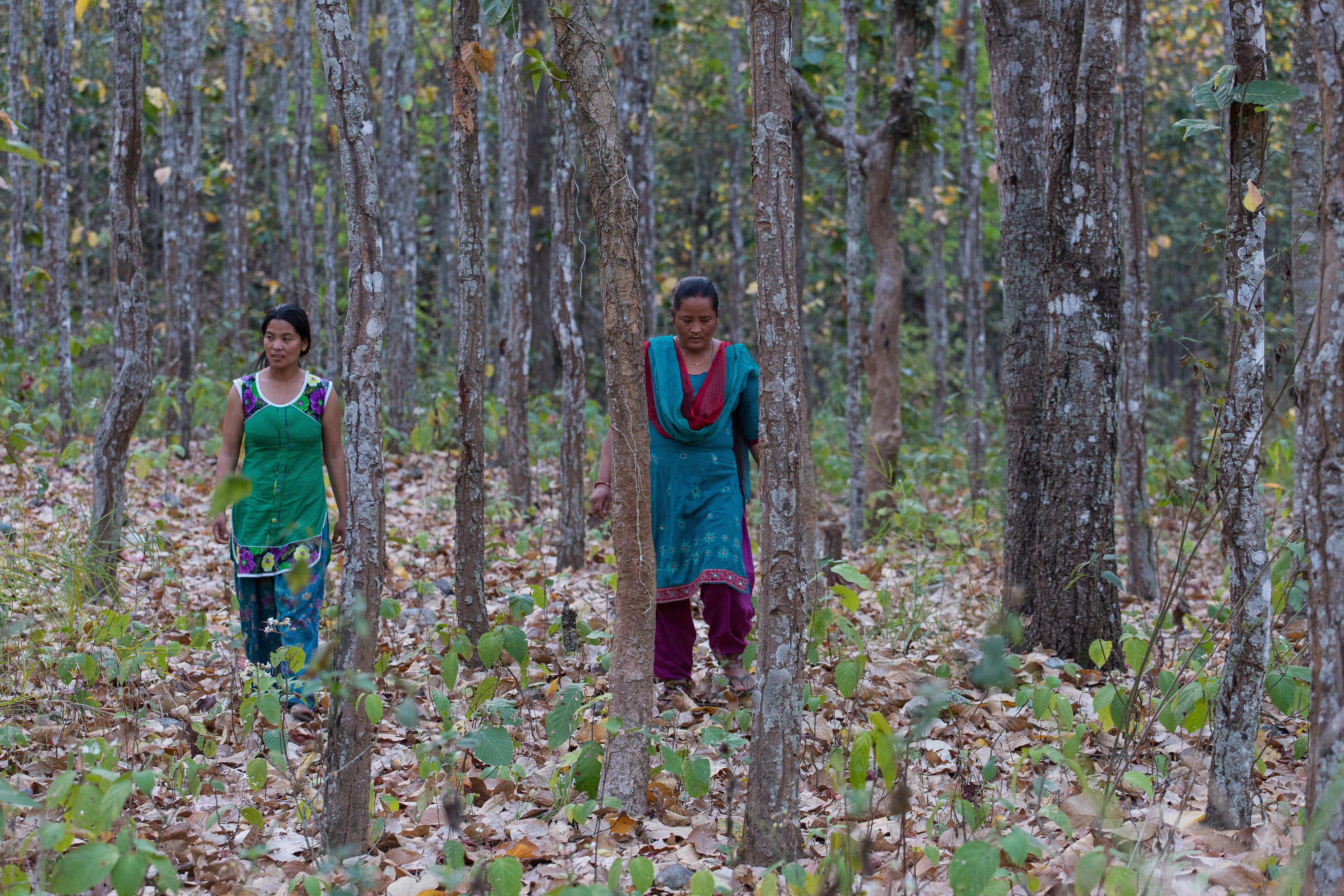 Water supplies in Churiyamai