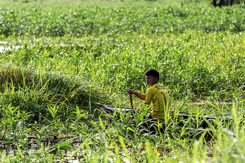 CN-Junin-Pablo_Ucayali_Perú_USAID-Pro-Bosques.Foto.Omar.Lucas_200120_00100036_.jpg