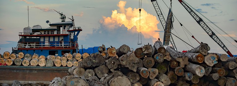 Logs with Barge