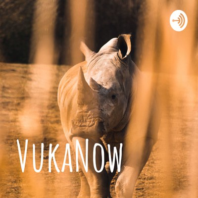 VukaNow Podcast: Combatting Wildlife Crime in Southern Africa