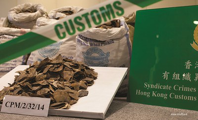 Seized pangolin scales on display at a Hong Kong Customs and Excise Department press conference. Alex Hofford/USAID Asia