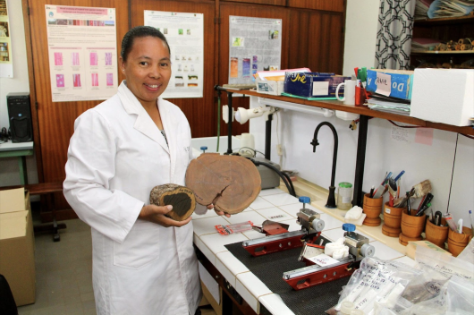 PEER PI Dr. Bako Harisoa Ravaomanalina in her lab at the University of Antananarivo Madagascar. Credit: Dr. Harisoa Ravaomanalina