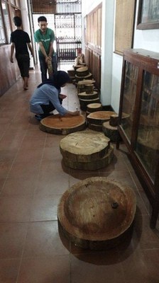 Wood sample collection at the Indonesian Ministry of Environment and Forestry.