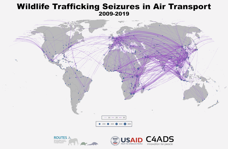 By identifying common trafficking paths, ROUTES helps partners to more strategically and efficiently target enforcement and deterrence efforts.