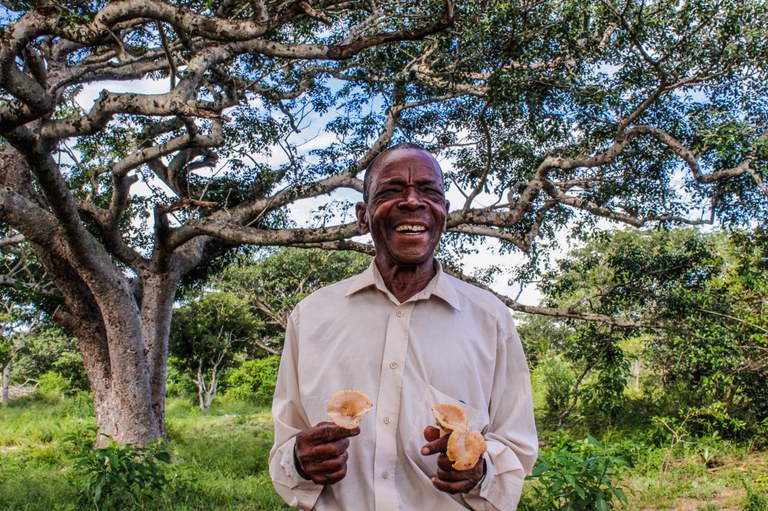 A man grins while holding giant mushrooms that he collected in Licuati Forest Reserve in Maputo city, Mozambique.  Photo Credit: Denise Nicolau/BIOFUND