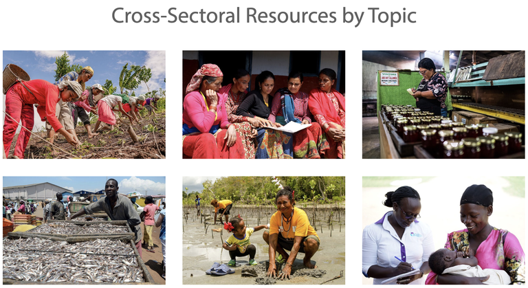 Cross-Sectoral Resources by Topic