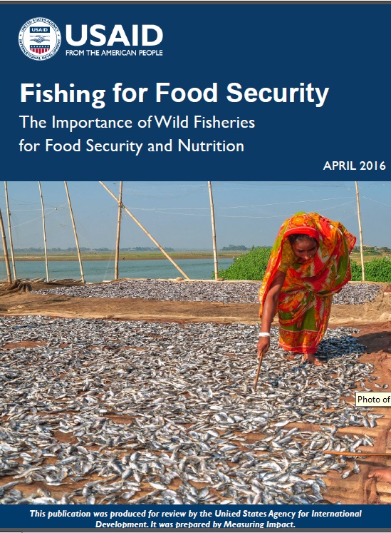 Fishing for Food Security: The Importance of Wild Fisheries for Food Security and Nutrition cover image