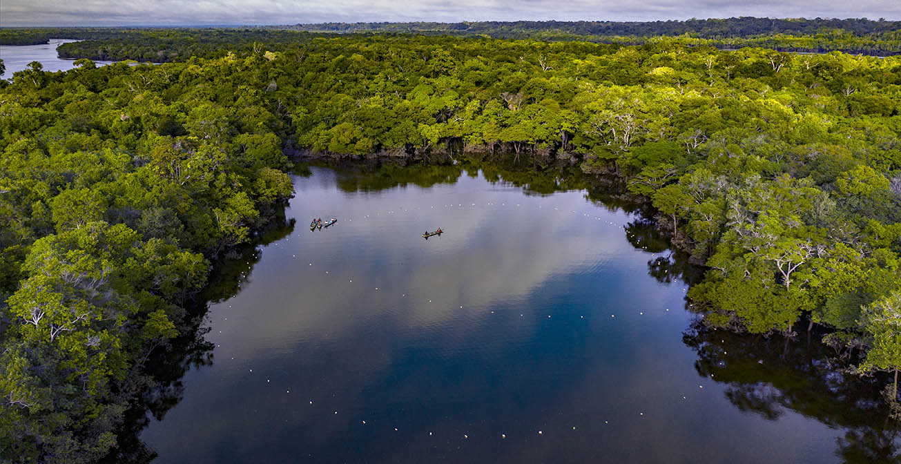 The drone image shows fishing nets spread out for fishing wild arapaima in the Tapauá River, in the Paumari Indigenous Land, in the Amazon. The images were taken in 2019 for Gosto da Amazônia, which works to promote and market pirarucu.