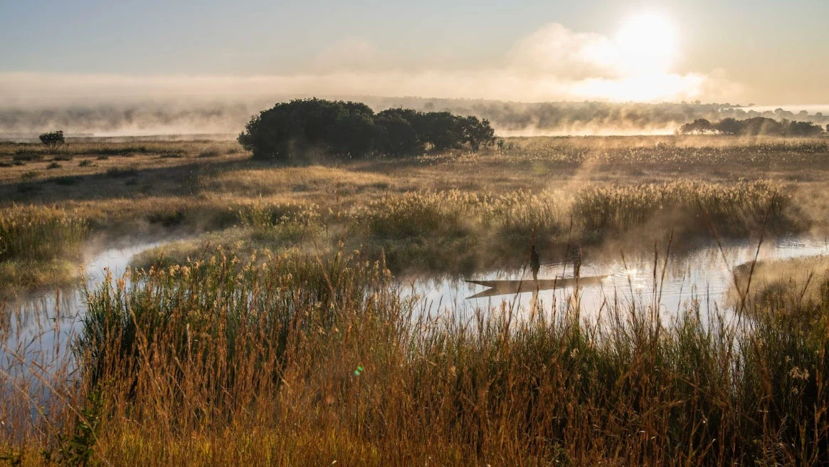 This image shows the sun rising over the Okavango Basin, with reeds in the foreground, a few trees, and steam rising over the landscape. Photo credit: Roshni Lodhia/TNC