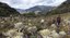 Indigenous-Man-Walking-through-Andean-Paramos-in-Colombia.jpg