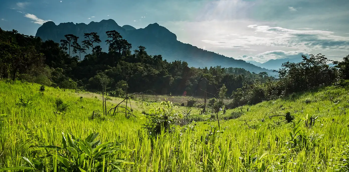 Scenes along the trail from the main road to the village of Kayasan show the local community's impact on the landscape in front of the backdrop of national park and Certificate of Ancestral Domain Claim (CAD-C) protected landscapes in Barangay Tagabinet, Palawan, Philippines. Photograph by Jason Houston for USAID