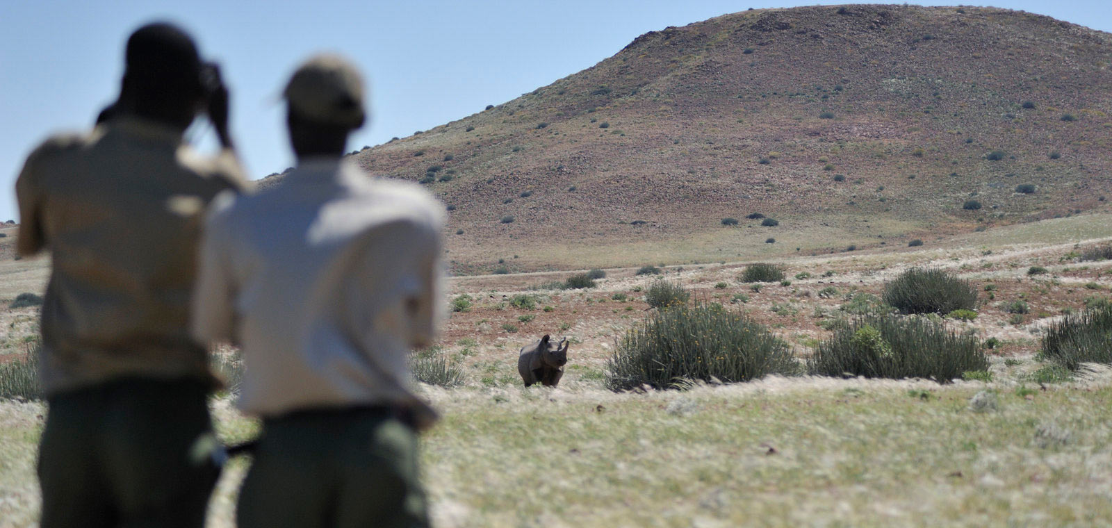 Save the Rhino Trust Trackers