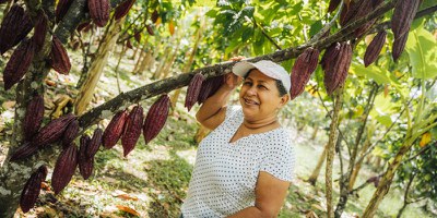 Growing for the Future: Safeguarding Coffee and Cocoa While Addressing Biodiversity and Climate Crises