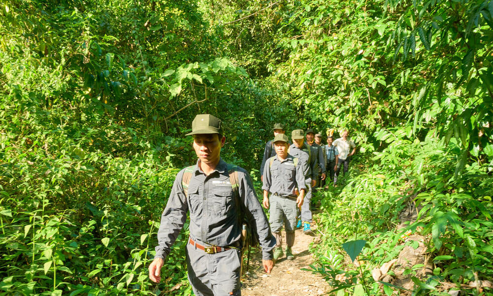 Trail_Vietnam.jpg