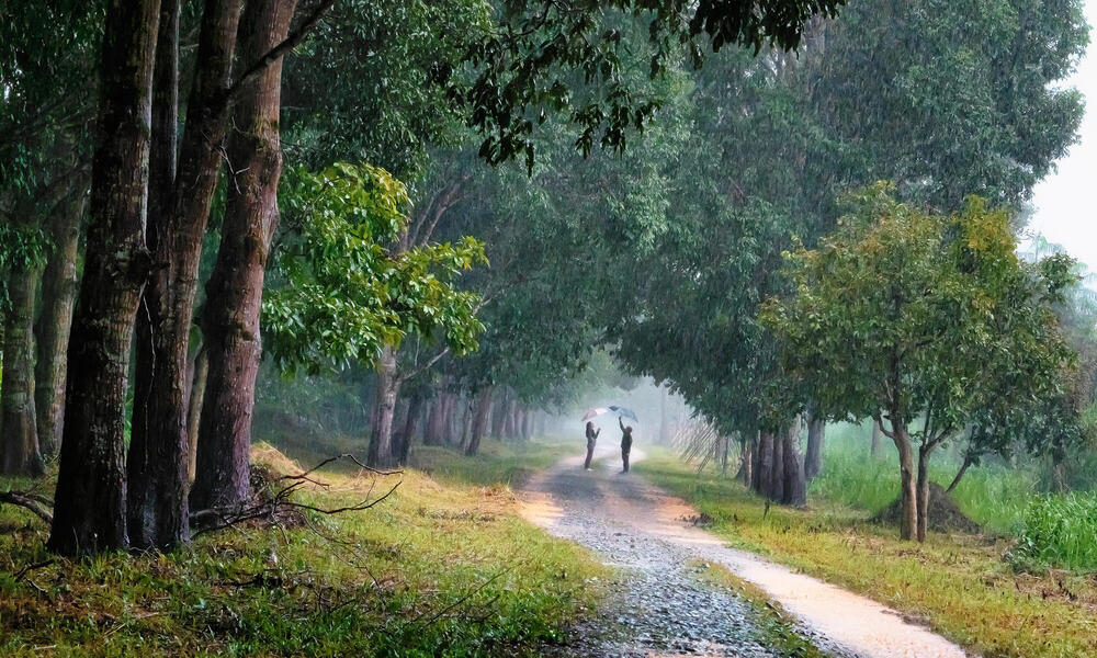 Vietnam_trail_umbrella.jpg