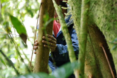 Nurturing Community-Led Conservation in Colombia