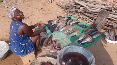 USAID's Food For Peace Explores the Role of Wild-Caught Fisheries