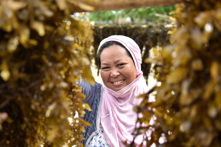 Woman harvesting seagrass with a smile in Zambales, Philippines. Photo Credit: Blue Motus/USAID SIBOL Project