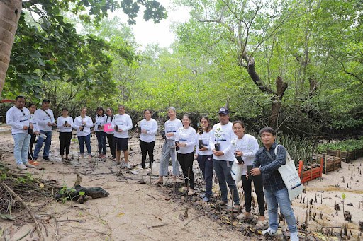 A group plants mangroves