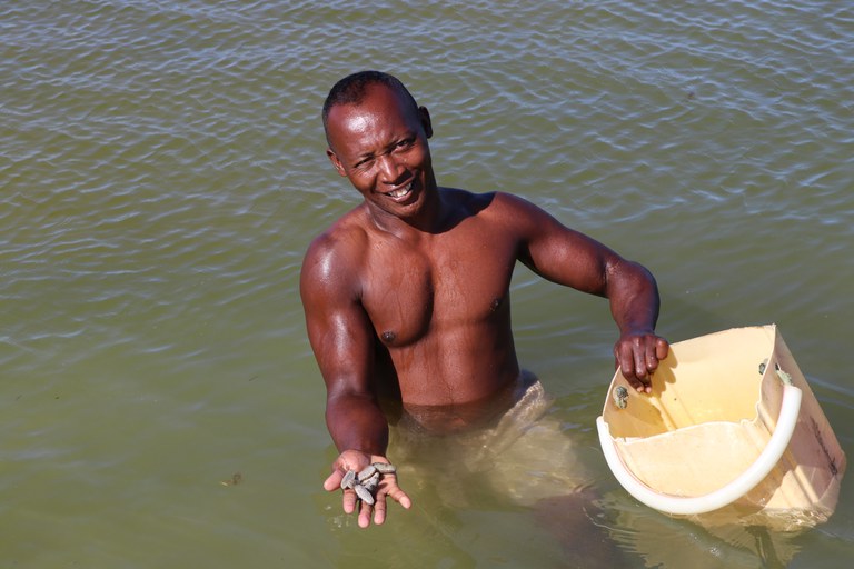 Sea cucumber farmer collects baby sea cucumbers in Atsimo Andrefana. (Photo Credit: Zack Taylor, USAID/Madagascar)