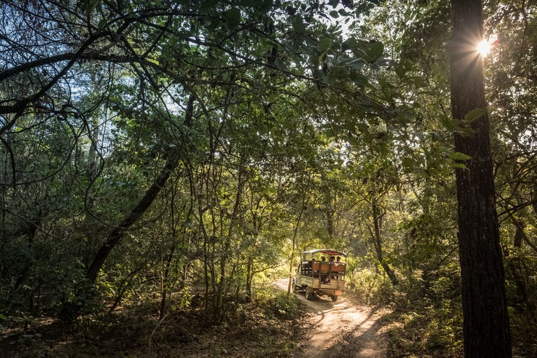 Jeep safaris are replacing elephant safaris in Chitwan National Park and Kumrose Community Forest, Nepal, catering to tourists more sensitive to animal rights issues or who are simply looking for a different experience. (Photo credit: Jason Houston for USAID)