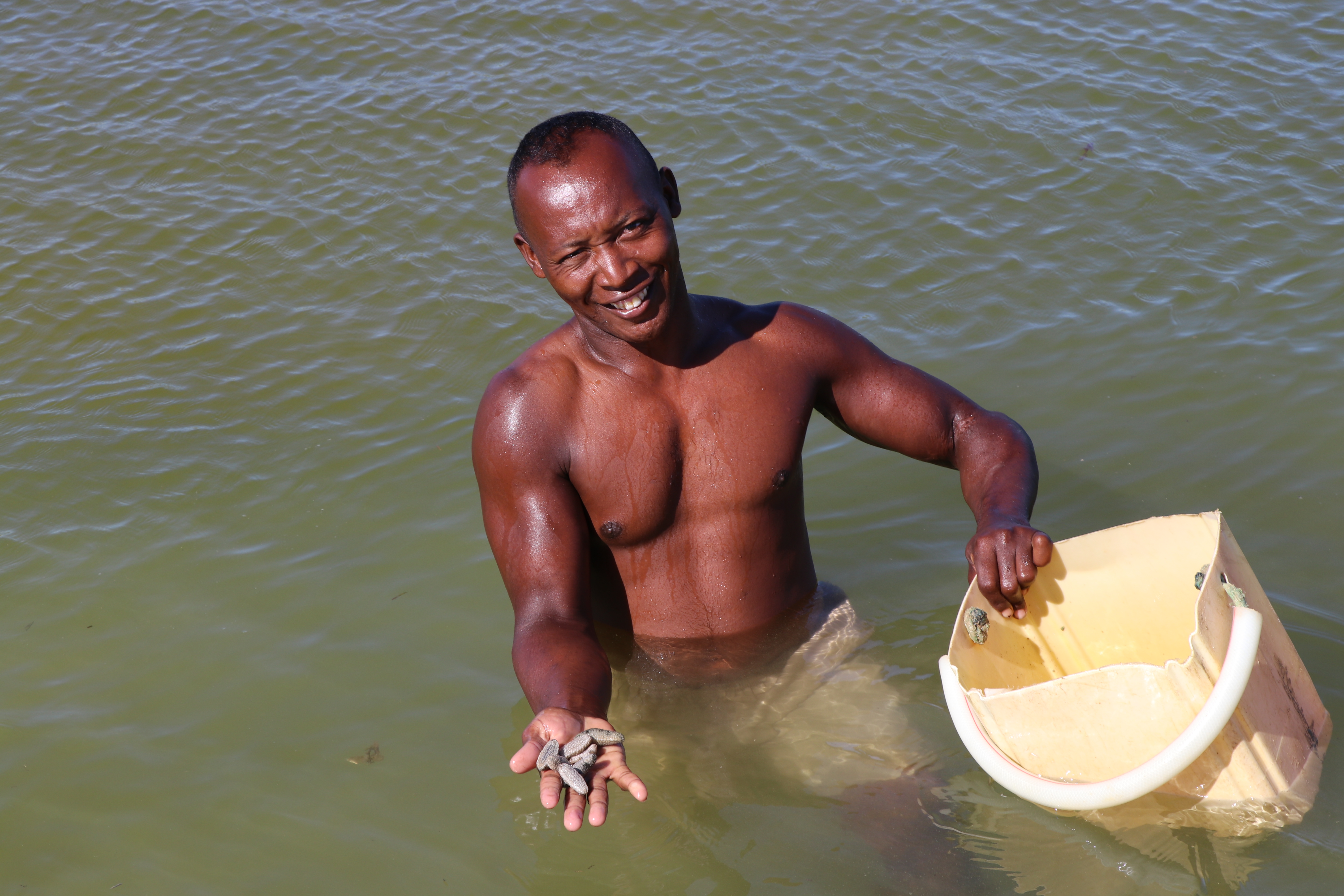 Sea cucumber farmer collects baby sea cucumbers in Atsimo Andrefana. (Photo Credit_ Zack Taylor, USAID_Madagascar).JPG