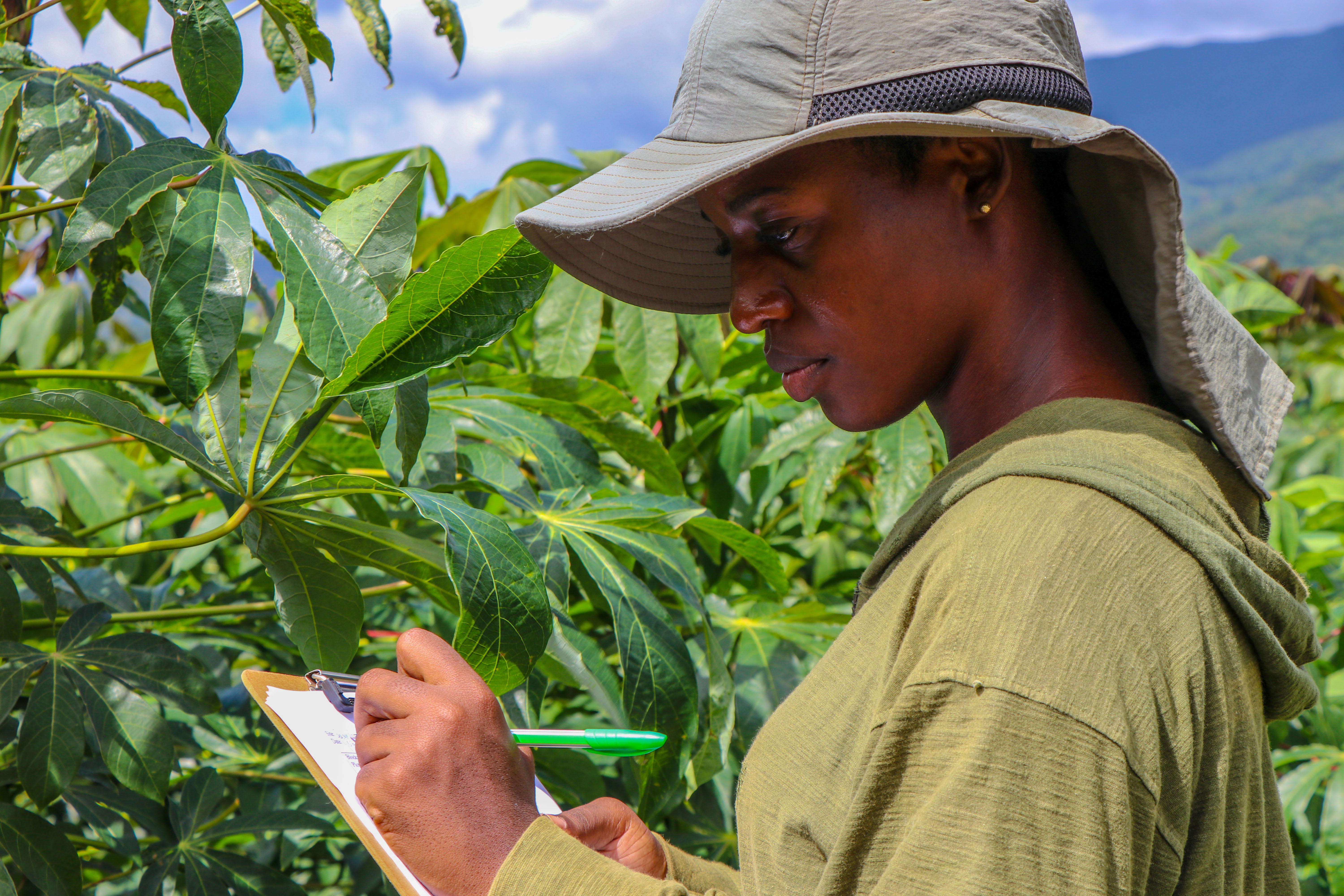 Assessing farming in Jamaica