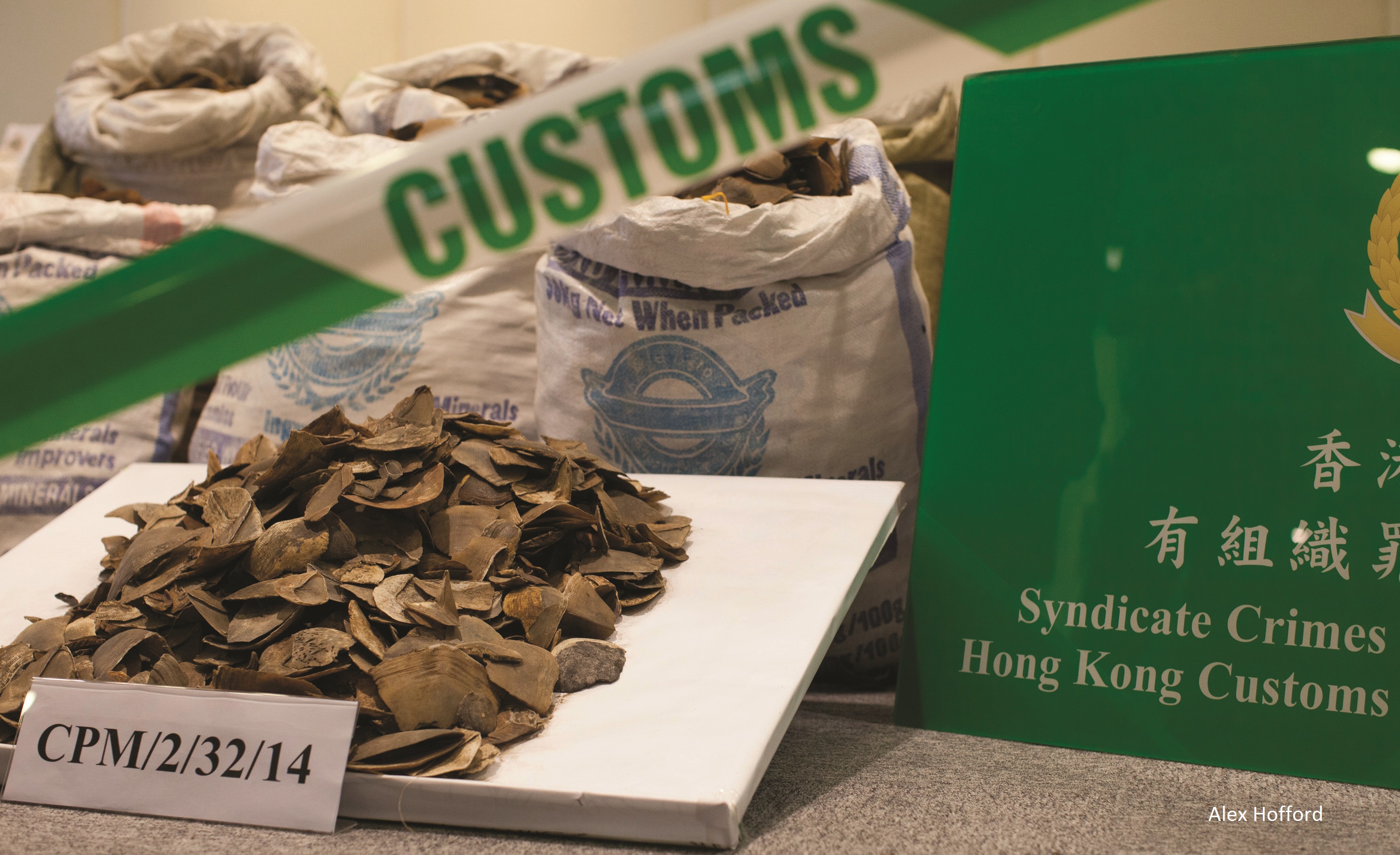 Pangolin scale seizure Hong Kong_Alex Hofford USAID Asia