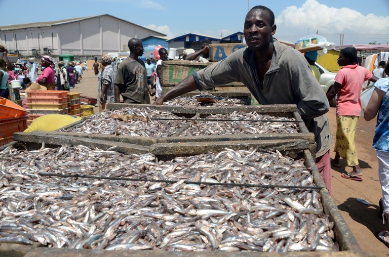 Tema fishing port Ghana_credit A. Kauffeld USAID