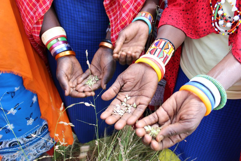 Women hold seeds in Kenya_Matthew Erdman USAID