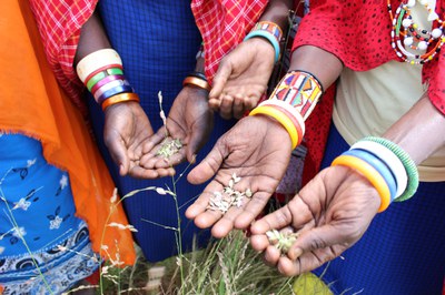 Women hold seeds in Kenya. Credit: Matthew Erdman USAID