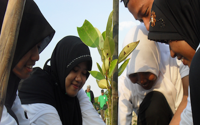 Gender and Biodiversity Page Key Resources Image