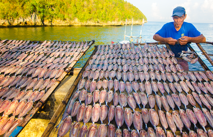 Fisheries, Marine Conservation and Development Banner