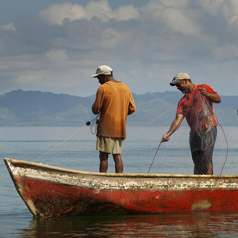 Caribbean Marine Biodiversity Program Thumbnail Image