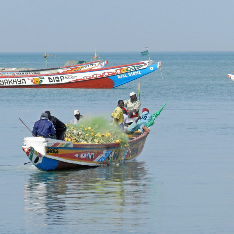 Collaborative Management for a Sustainable Fisheries Future Thumbnail Image