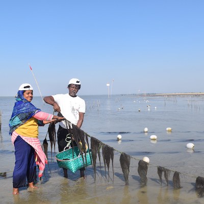 Enhanced Coastal Fisheries in Bangladesh II (ECOFISH II)