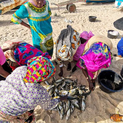 Feed the Future Dekkal Geej (Reviving the Seas): Toward Sustainable Fisheries