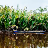 Strengthening Tenure and Resource Rights II is designed to improve land tenure, marine tenure, property rights and resource governance through targeted interventions or integrated activities in support of broader development objectives.